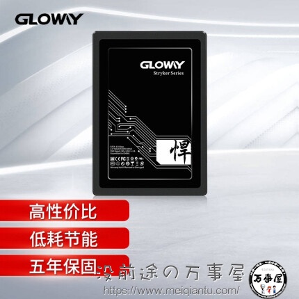 光威（Gloway）240GB SSD固态硬盘 SATA3.0接口 悍将系列-畅快体验高速存储