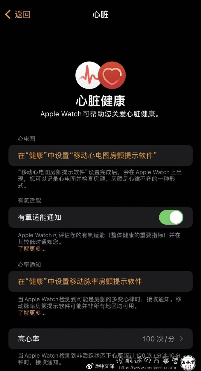国行Apple Watch终于支持ECG心电图，但有媒体称与国际版算法有区别-2