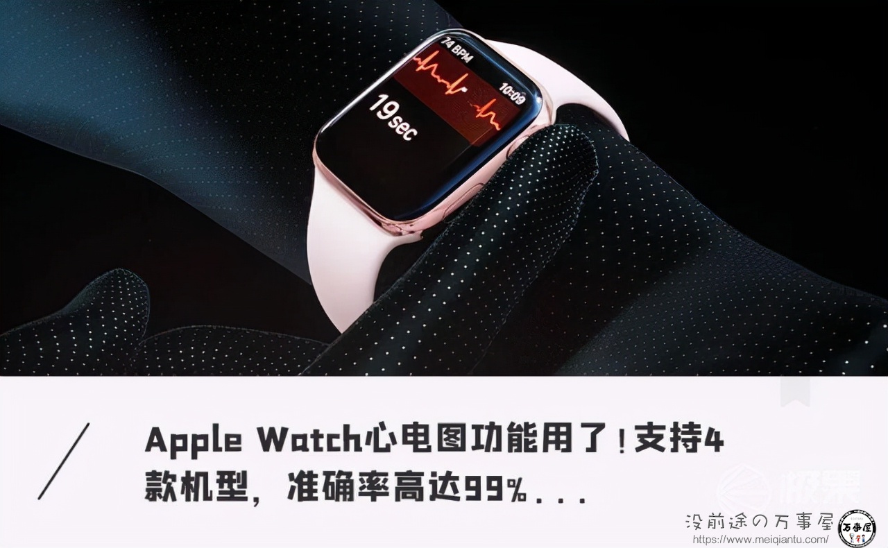 万事屋转载：苹果手表「心电图」功能解锁，支持4款机型，快来看你的能不能用？-1